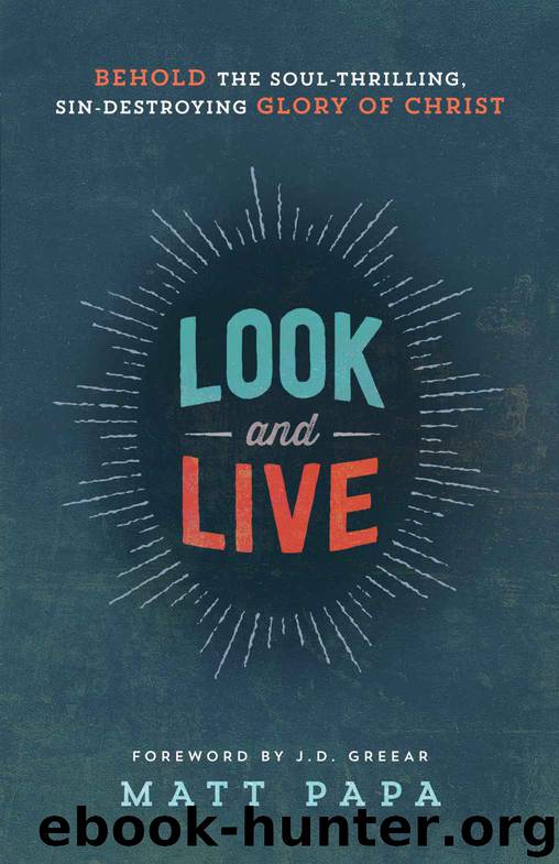 Look and Live: Behold the Soul-Thrilling, Sin-Destroying Glory of Christ by Matt Papa