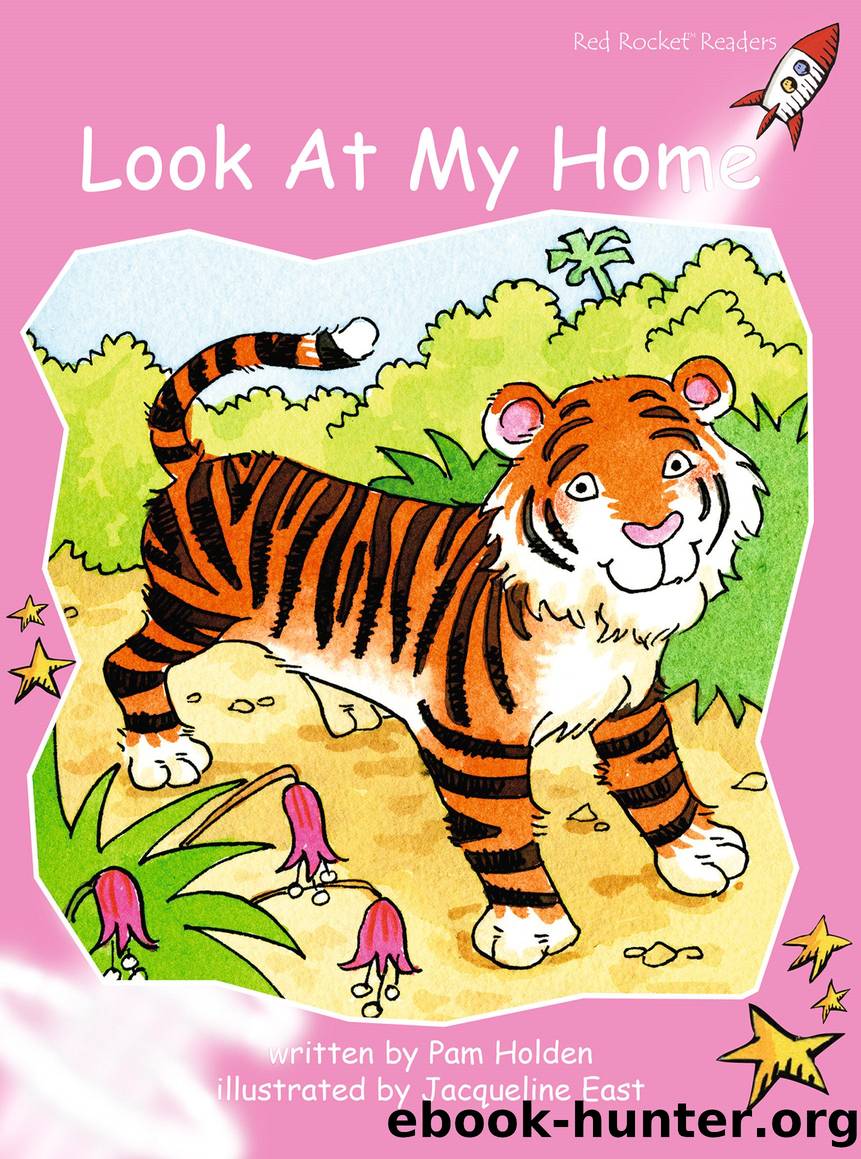 Look at My Home by Pam Holden