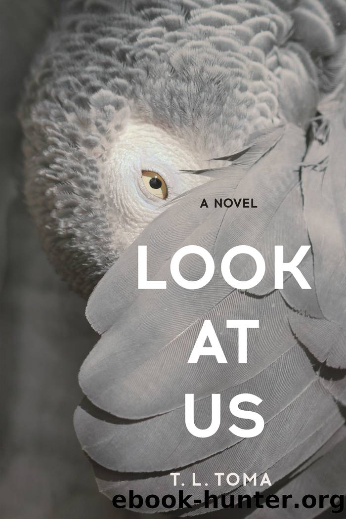 Look at Us by T. L. Toma