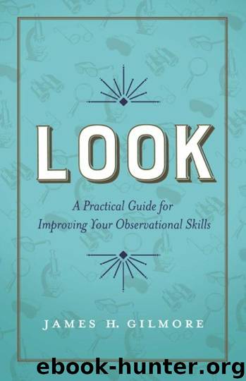 Look: A Practical Guide for Improving Your Observational Skills by James H. Gilmore