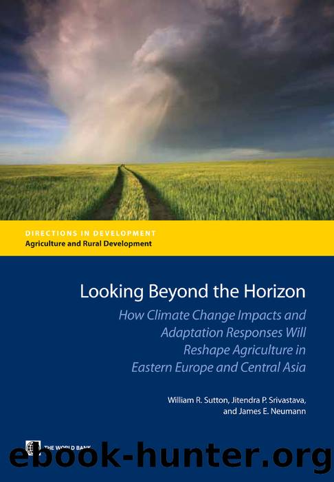 Looking Beyond the Horizon by William R. Sutton; Jitendra P. Srivastava; James E. Neumann