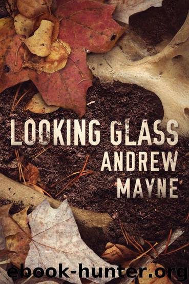 Looking Glass by Andrew Mayne