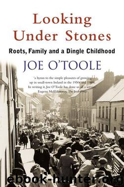 Looking Under Stones by Joe O'Toole