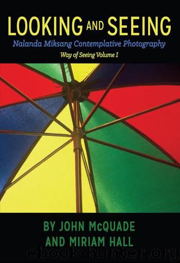 Looking and Seeing: An Introduction to Nalanda Miksang Contemplative Photography (Way of Seeing Book 1) by McQuade John & Hall Miriam