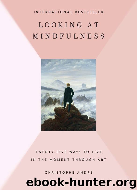 Looking at Mindfulness by Christophe Andre