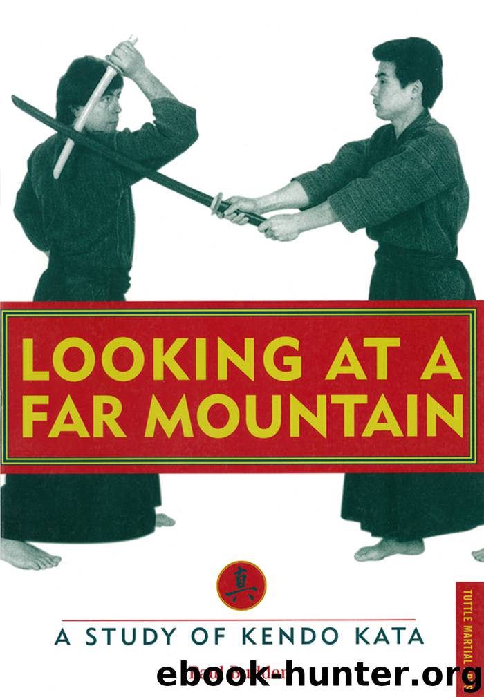 Looking at a Far Mountain by Paul Budden