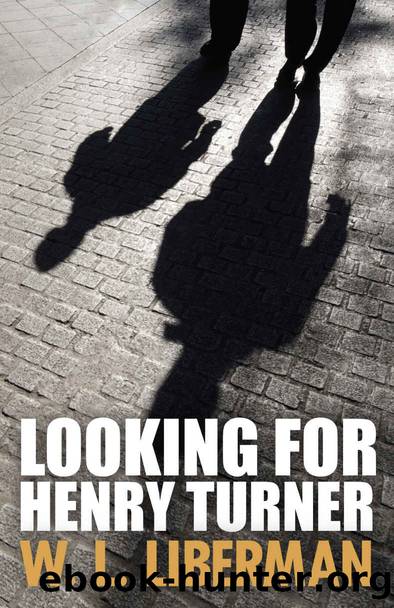 Looking for Henry Turner (Mo Gold And Birdie Mysteries Book 1) by W.L. Liberman