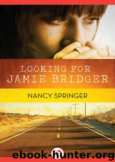 Looking for Jamie Bridger by Springer Nancy