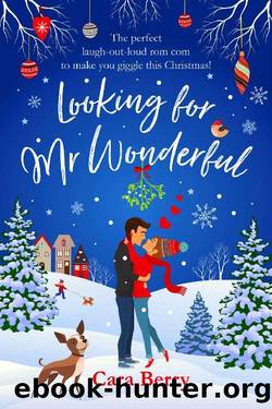 Looking for Mr Wonderful: The perfect laugh-out-loud rom com to make you giggle this Christmas! by Cara Berry