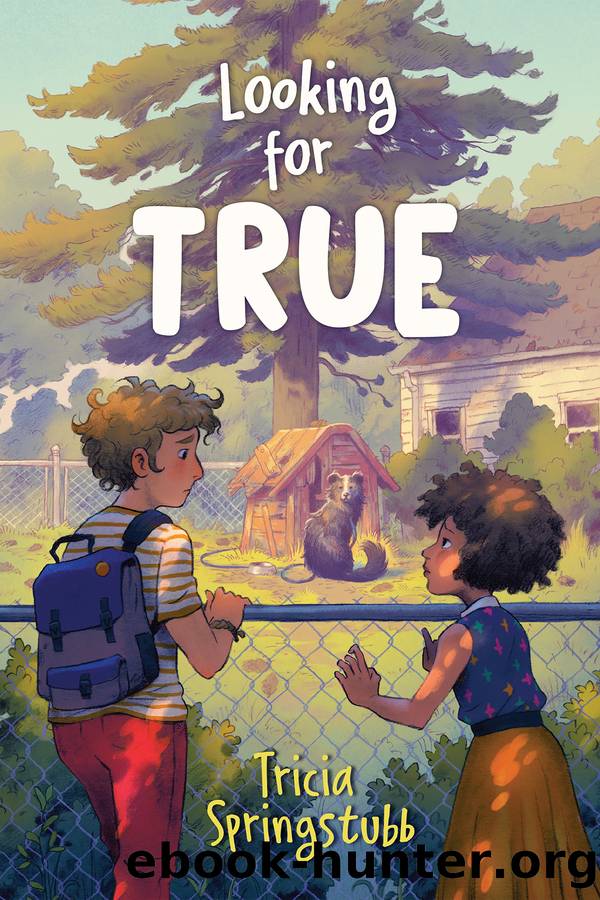 Looking for True by Tricia Springstubb