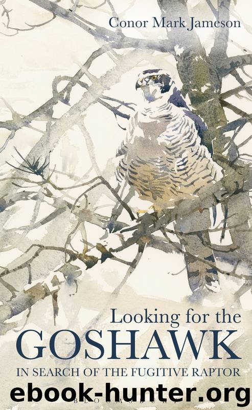 Looking for the Goshawk by Conor Mark Jameson