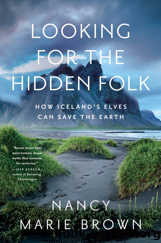Looking for the Hidden Folk by Nancy Marie Brown