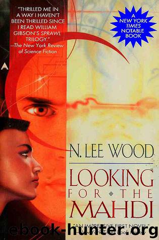 Looking for the Mahdi by N Lee Wood