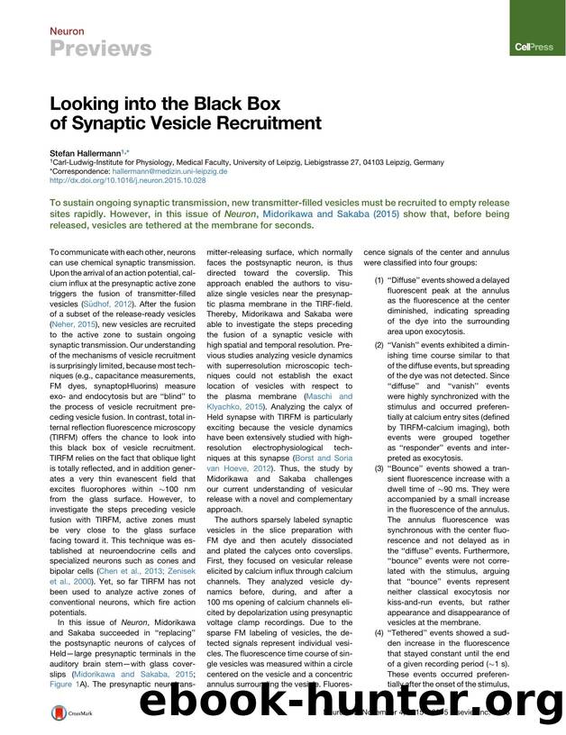 Looking into the Black Box of Synaptic Vesicle Recruitment by Stefan Hallermann
