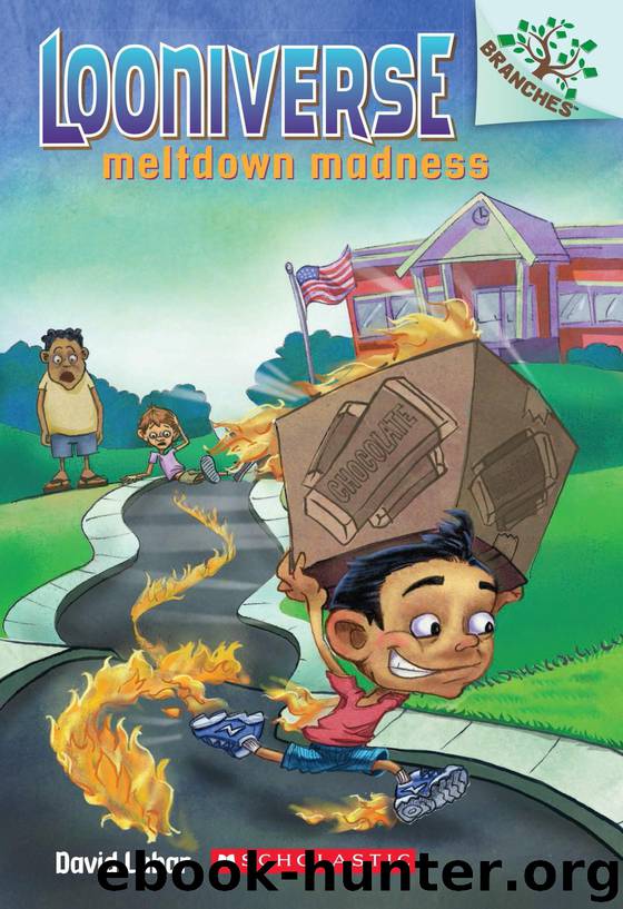 Looniverse #2: Meltdown Madness (A Branches Book) by Lubar David