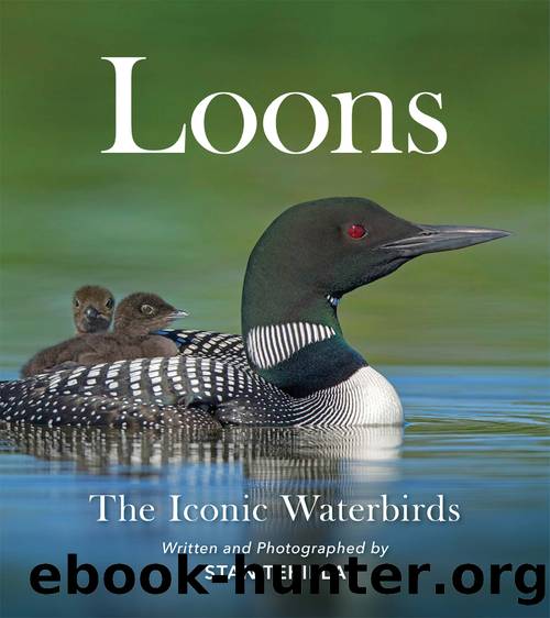 Loons by Stan Tekiela