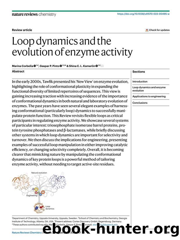 Loop dynamics and the evolution of enzyme activity by Marina Corbella & Gaspar P. Pinto & Shina C. L. Kamerlin