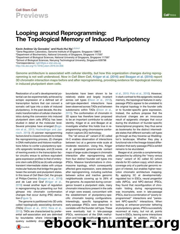 Looping around Reprogramming: The Topological Memory of Induced Pluripotency by Kevin Andrew Uy Gonzales & Huck-Hui Ng