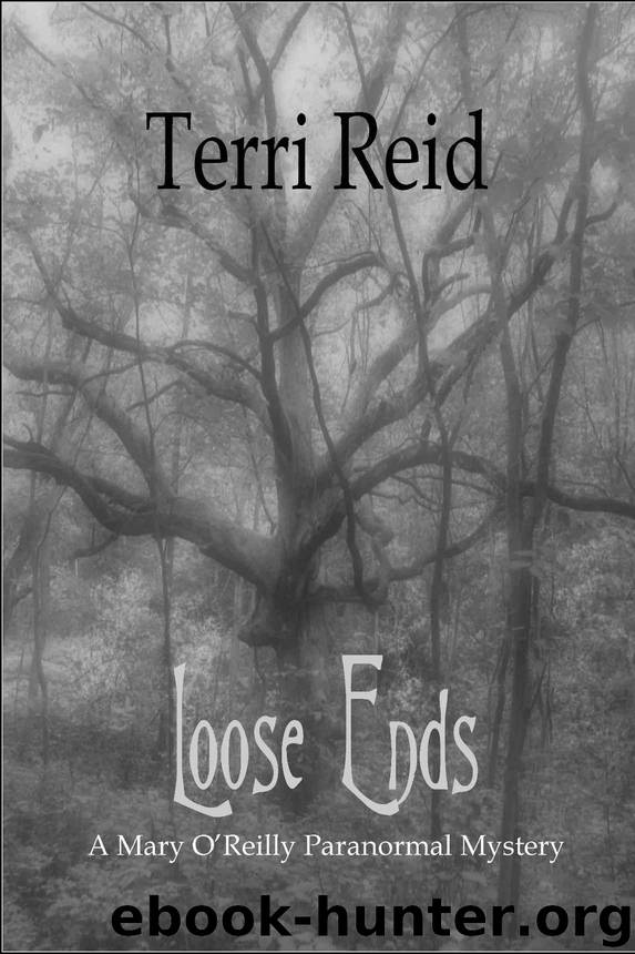 Loose Ends (A Mary O'Reilly Paranormal Mystery) by Reid Terri