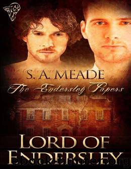 Lord of Endersley (The Endersley Papers) by S.A. Meade