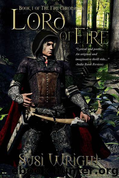Lord of Fire: #1 The Fire Chronicles by Susi Wright