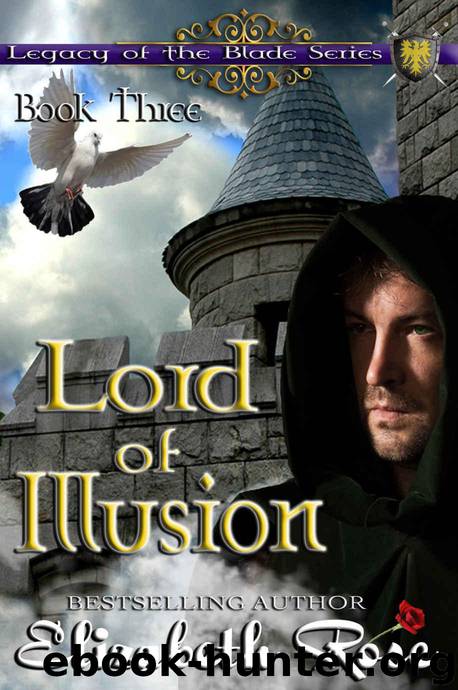 Lord of Illusion (Legacy of the Blade Book 3) by Rose Elizabeth