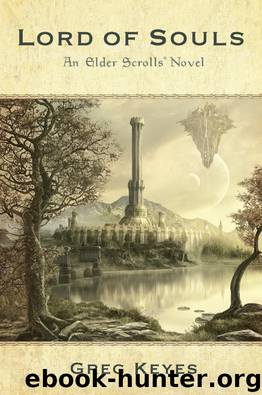 Lord of Souls by Greg Keyes