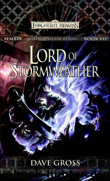 Lord of Stormweather by Dave Gross