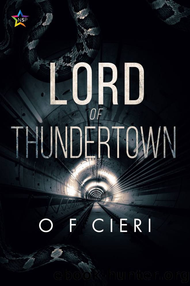 Lord of Thundertown by O.F. Cieri