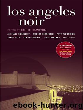 Los Angeles Noir (Akashic Noir) by Denise Hamilton