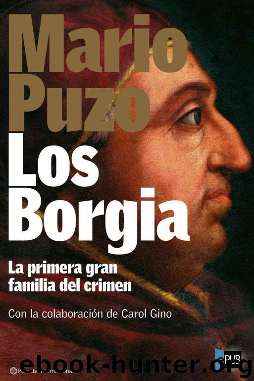 Los Borgia by Mario Puzo