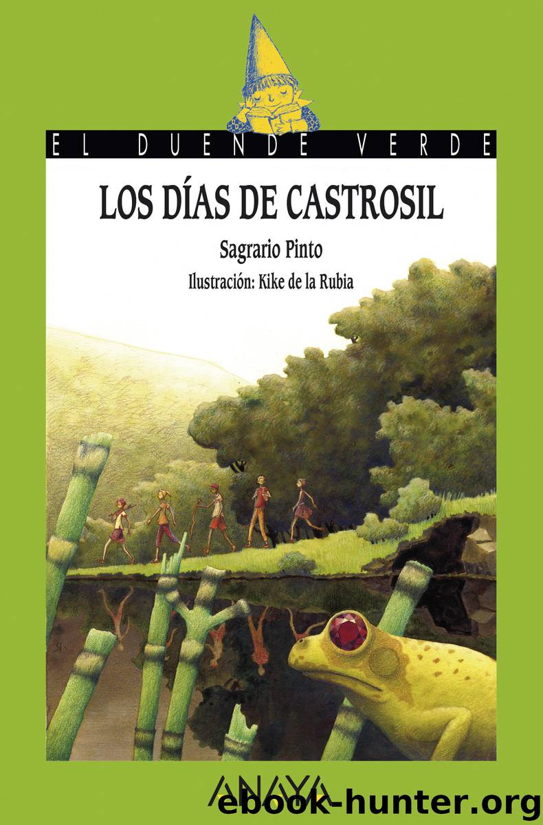 Los días de Castrosil by sagrario pinto