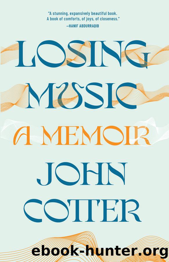 Losing Music by John Cotter