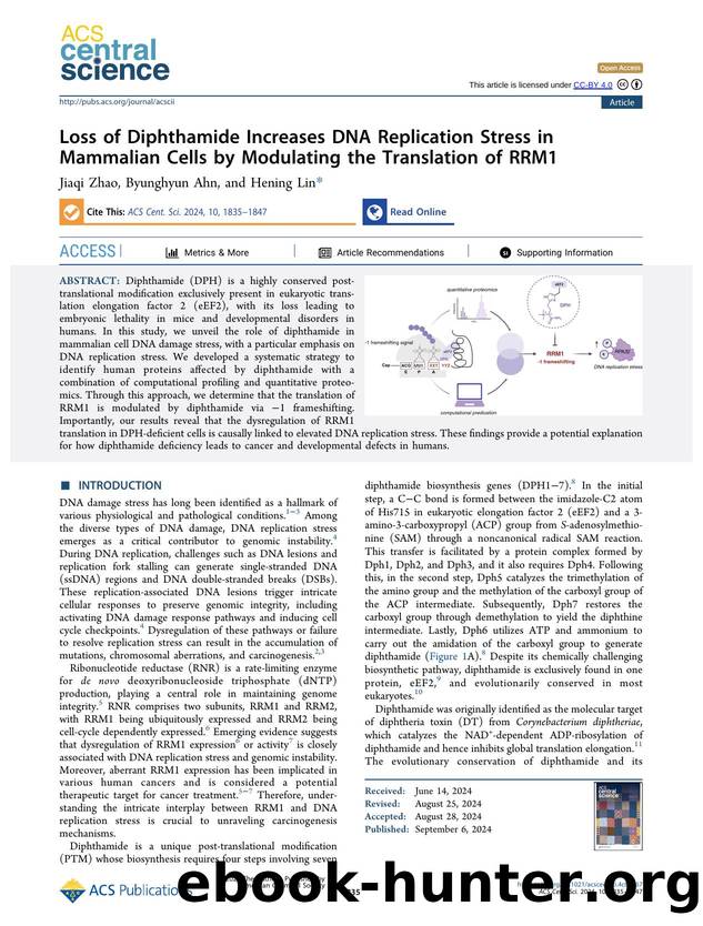 Loss of Diphthamide Increases DNA Replication Stress in Mammalian Cells by Modulating the Translation of RRM1 by unknow