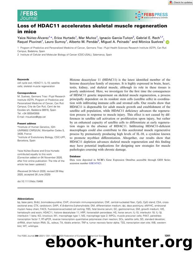 Loss of HDAC11 accelerates skeletal muscle regeneration in mice by Unknown