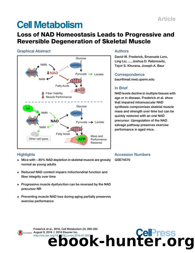 Loss of NAD Homeostasis Leads to Progressive and Reversible Degeneration of Skeletal Muscle by unknow
