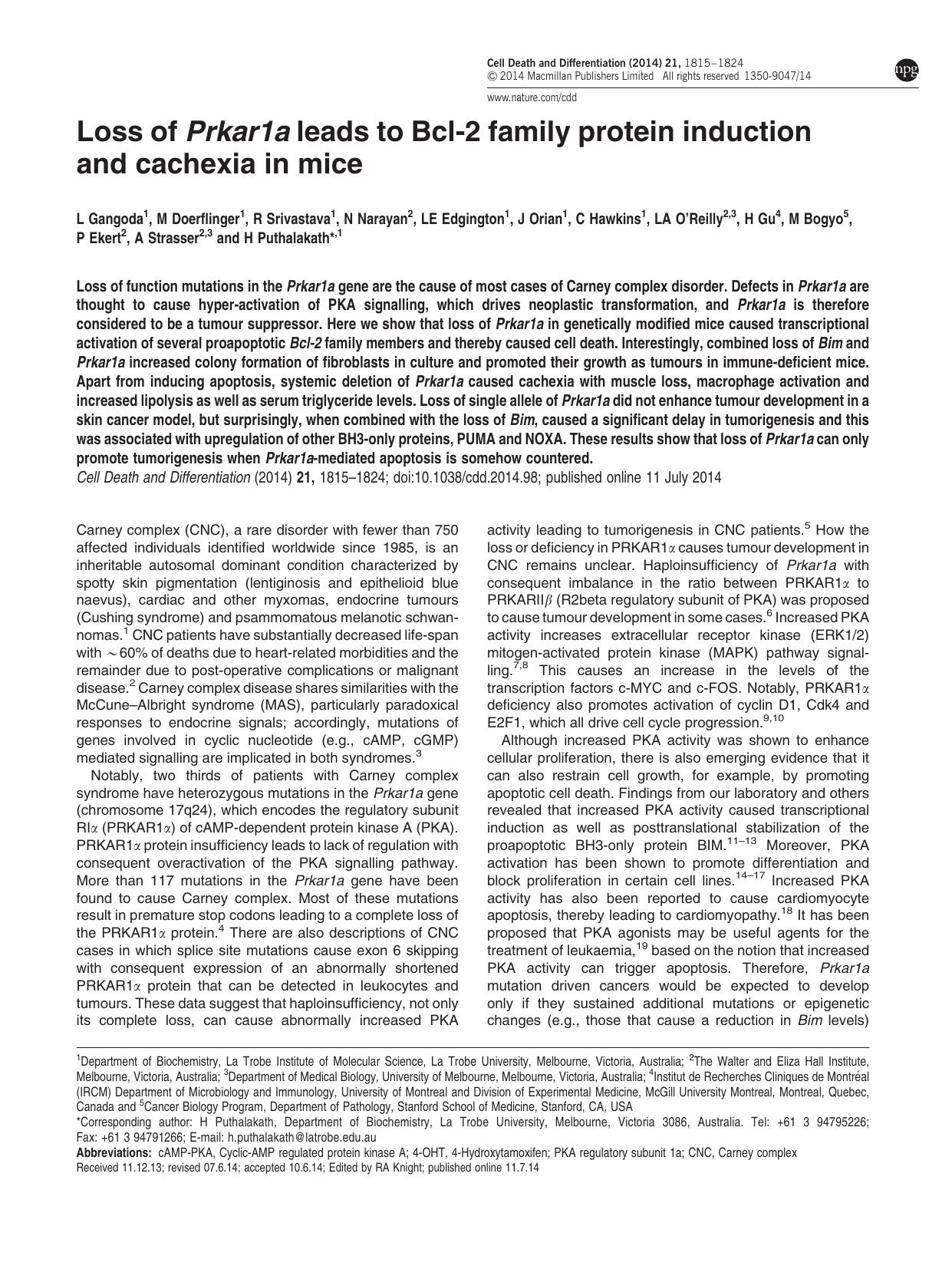 Loss of Prkar1a leads to Bcl-2 family protein induction and cachexia in mice by unknow