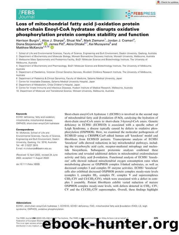 Loss of mitochondrial fatty acid Î²âoxidation protein shortâchain EnoylâCoA hydratase disrupts oxidative phosphorylation protein complex stability and function by Unknown