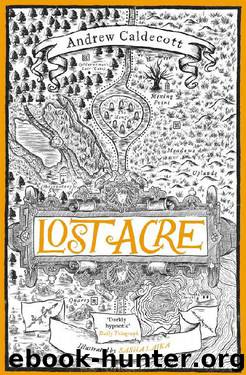 Lost Acre by Andrew Caldecott
