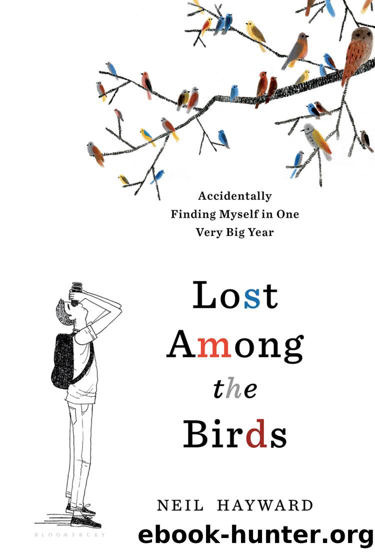 Lost Among the Birds by Neil Hayward