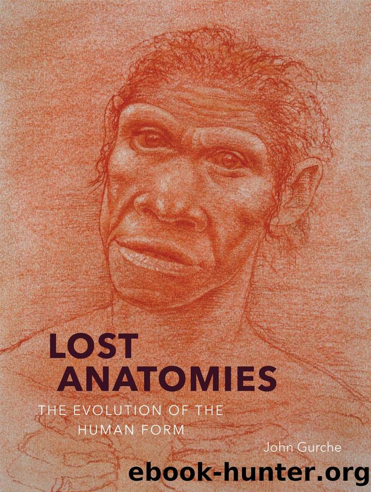 Lost Anatomies: The Evolution of the Human Form by John Gurche