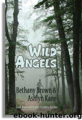 Lost Boys 3 - Wild Angels by Bethany Brown Ashlyn Kane