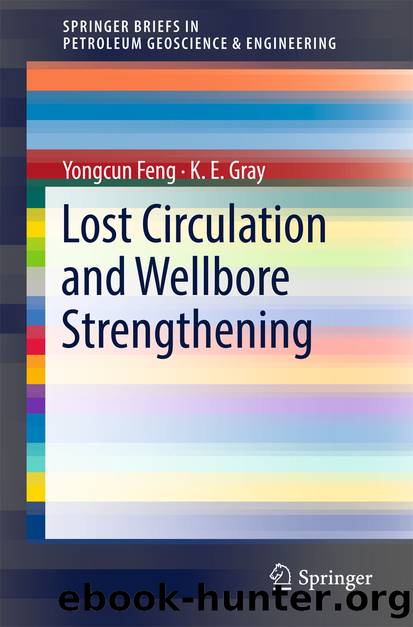 Lost Circulation and Wellbore Strengthening by Yongcun Feng & K. E. Gray