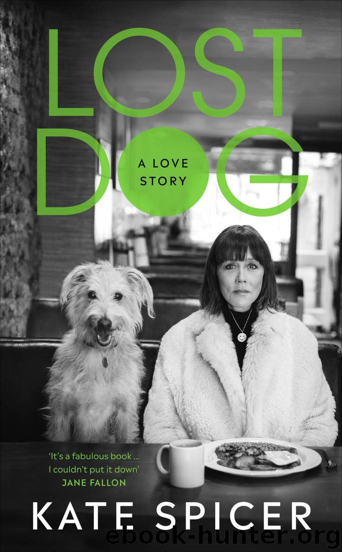 Lost Dog by Kate Spicer