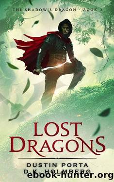 Lost Dragon (The Shadow's Dragon Book 3) by Dustin Porta & D.K. Holmberg
