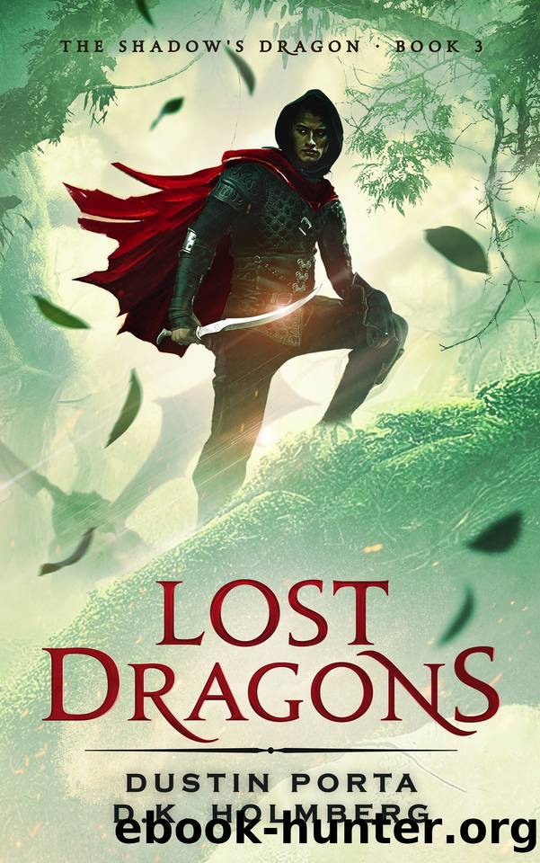 Lost Dragons by D K Holmberg & Dustin Porta