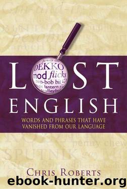 Lost English by Roberts Chris