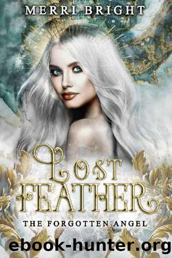 Lost Feather (The Forgotten Angel Book 1) by Merri Bright