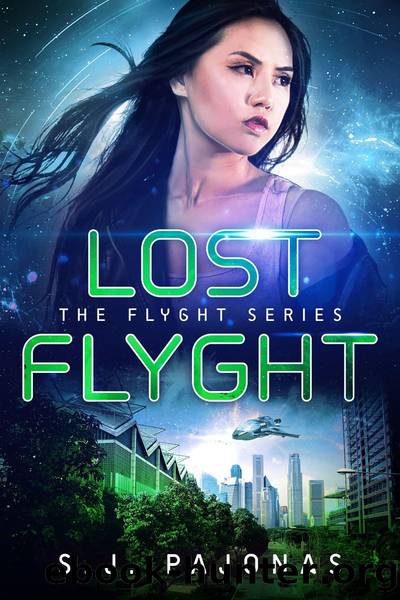 Lost Flyght by S. J. Pajonas