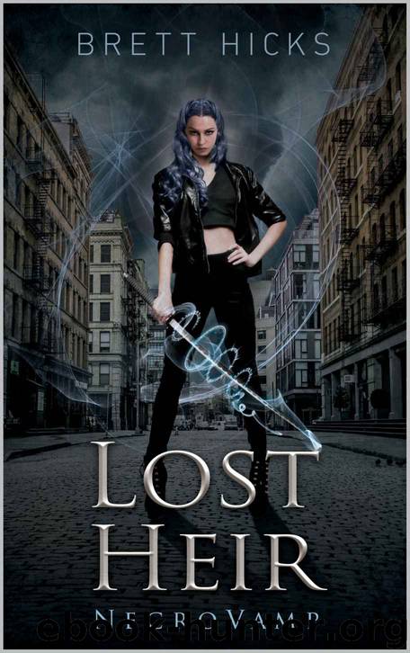 Lost Heir by Brett Hicks